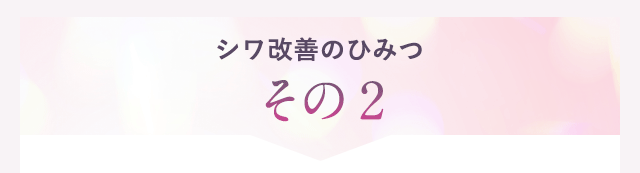 シワ改善技術その２